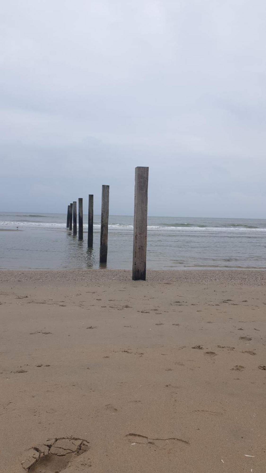 Rembrandts Beach View Zandvoort Exteriér fotografie