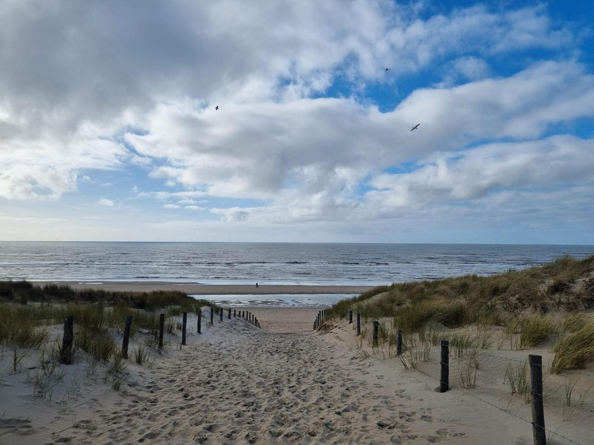 Rembrandts Beach View Zandvoort Exteriér fotografie