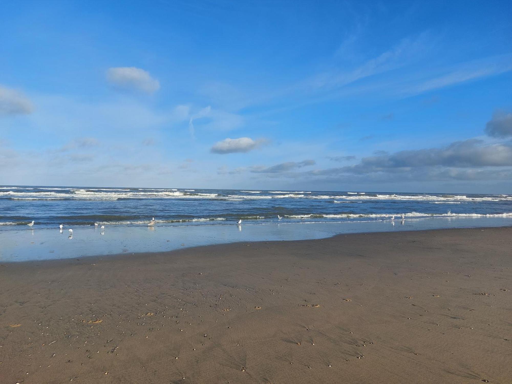 Rembrandts Beach View Zandvoort Pokoj fotografie